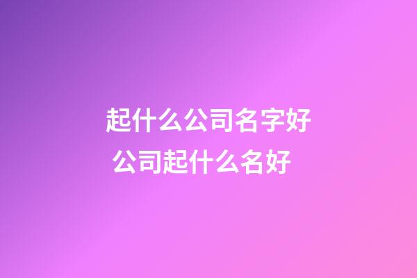 起什么公司名字好 公司起什么名好